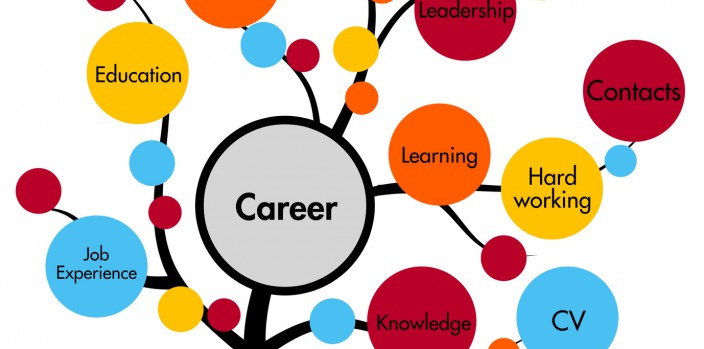 Mes expériences professionnelles