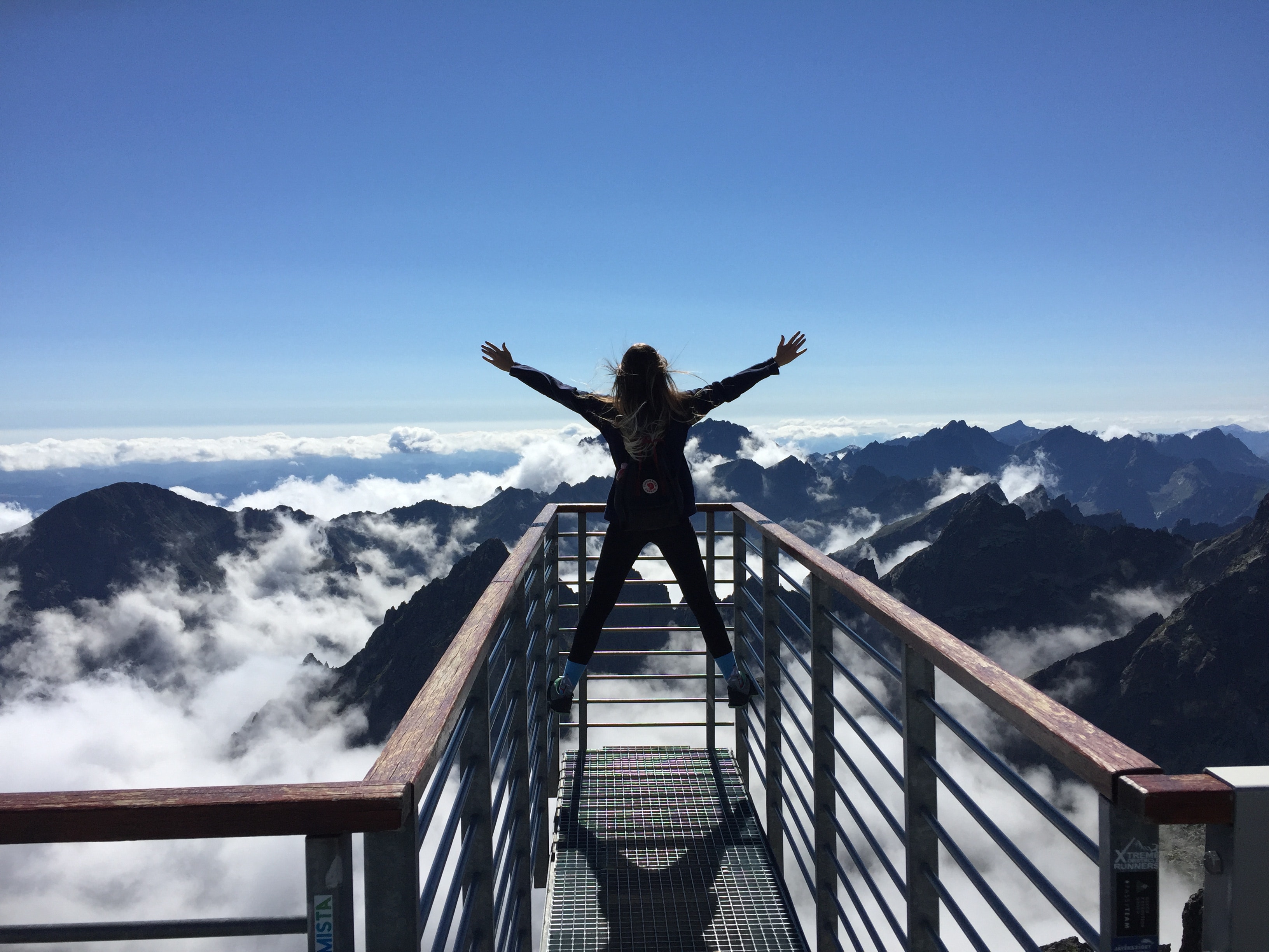 Mes expériences professionnelles